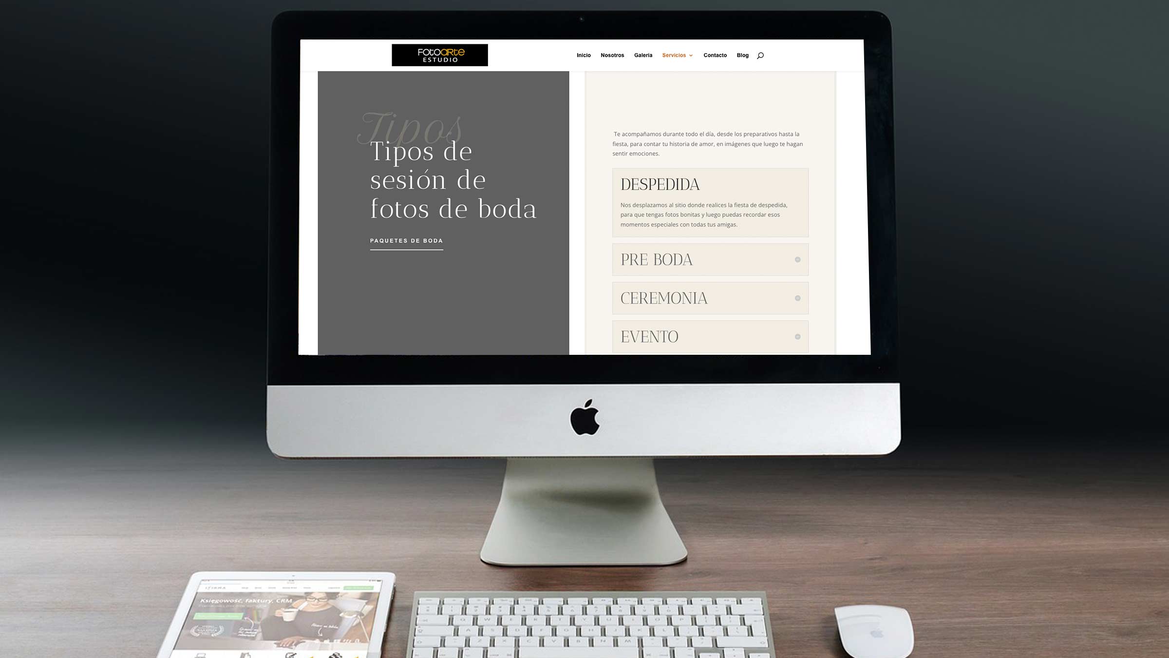 Diseño páginas web cliente 4